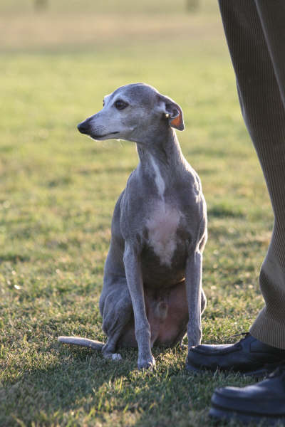 Zephyr at 10