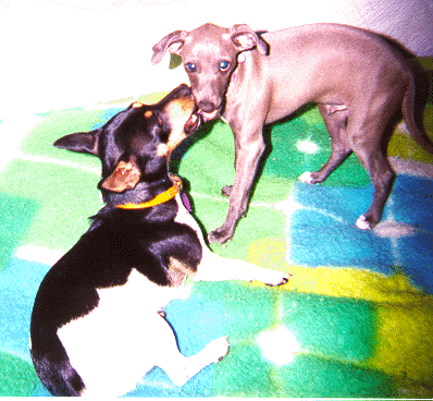 Zoe and Zephyr